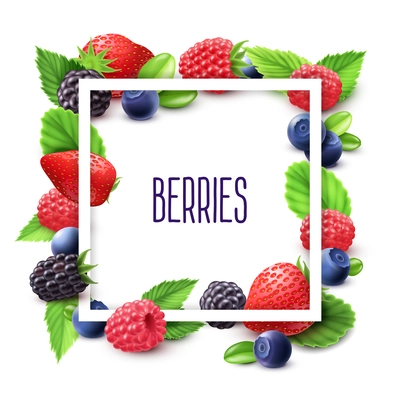 Berries and frame realistic set with blueberry strawberry and blackberry vector illustration