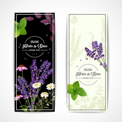 Card with organic herbs and blooming flowers and spices on black and white background vector illustration