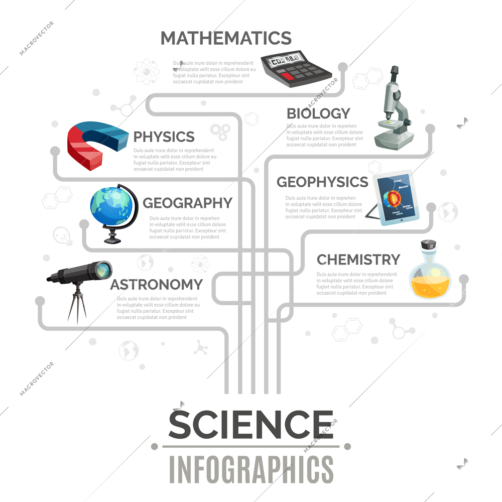 Science infographic template in shape of tree with different scientific instruments and icons isolated vector illustration