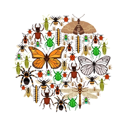 Insects Round Concept. Insects Vector Illustration. Insects Decorative Symbols. Insects Flat Design. Insects Elements Collection.