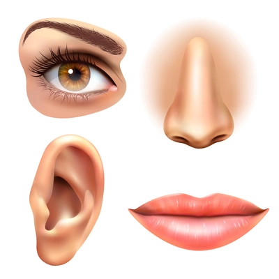 Human face parts 4 sense organs icons square collection of eye nose mouth and ear realistic vector illustration