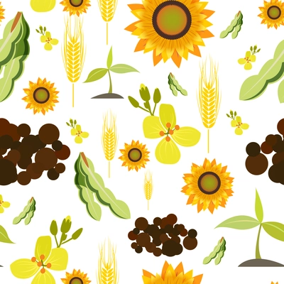 Agriculture farming organic food plant wheat sunflower seamless pattern vector illustration