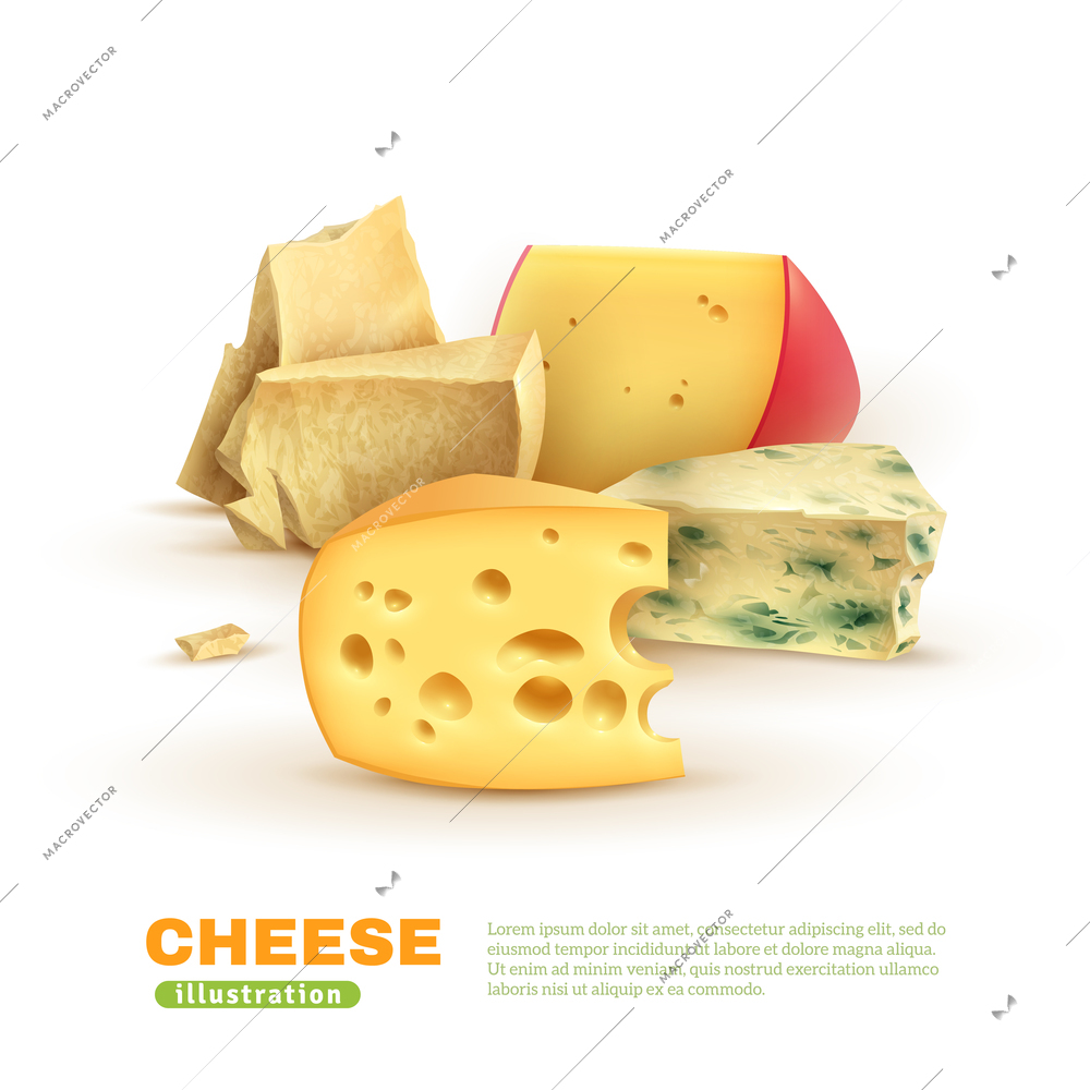 Colorful cheese template with dorblu edam maasdam parmesan on white background isolated vector illustration