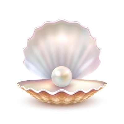 Finest quality beautiful natural open pearl shell close up realistic single valuable object image vector illustration