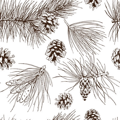 Pine fir christmas tree cedar spruce and cones seamless pattern vector illustration