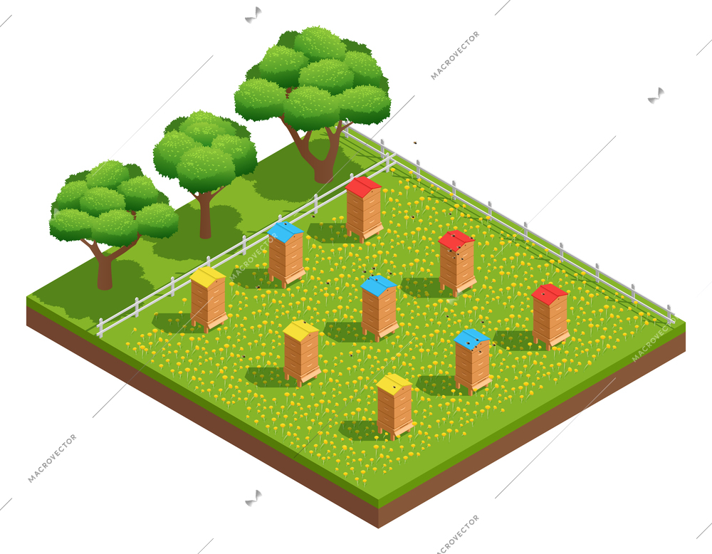 Beekeeping apiary with wooden hives on grass with flowers near trees isometric composition vector illustration