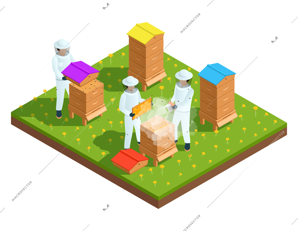 Beekeeping apiary isometric composition with farmers and bee hives vector illustration