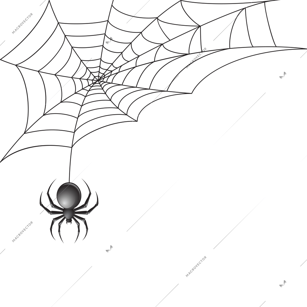 Black scary spider insect with web background vector illustration