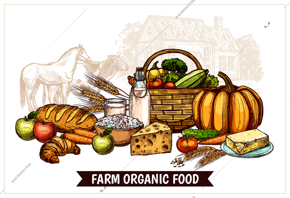 Ecological farm poster with healthy natural and useful products for proper nutrition vector illustration