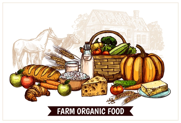 Ecological farm poster with healthy natural and useful products for proper nutrition vector illustration