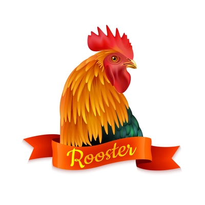 Classic red country rooster head turned aside closup image colorful picture with ribbon text vector illustration