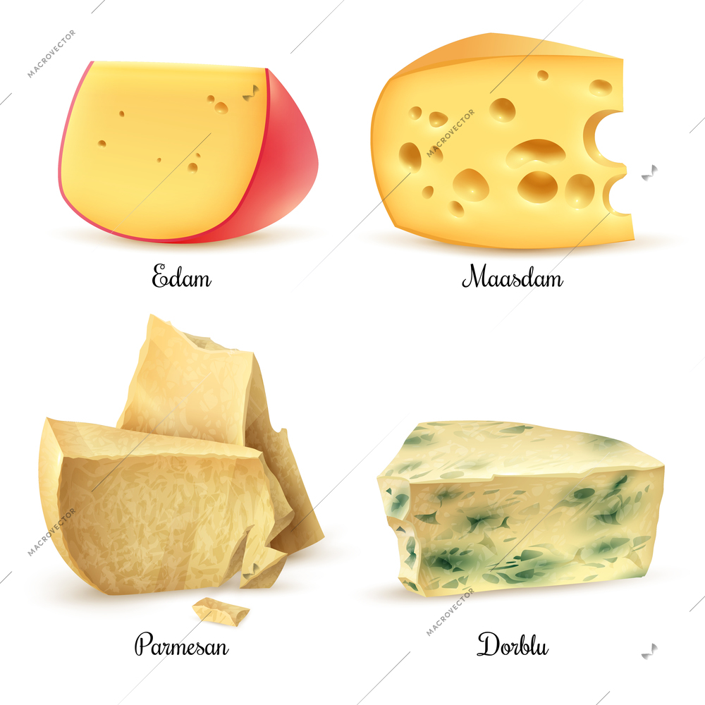 Relish quality special cheeses realistic images square composition with edam maasdam parmesan and dorblu isolated vector illustration