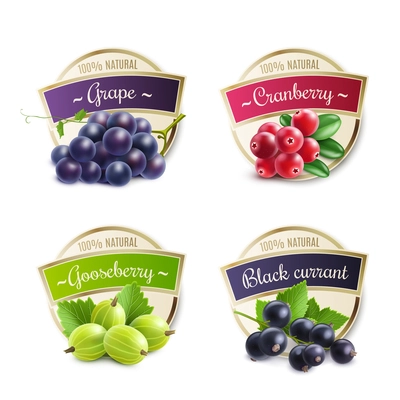 Organic berries labels collection with gooseberry grape cranberry black currant for package design isolated vector illustration
