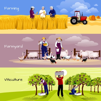 Farming people 3 flat horizontal banners set with farmyard vineyard and crops harvesting isolated vector illustration