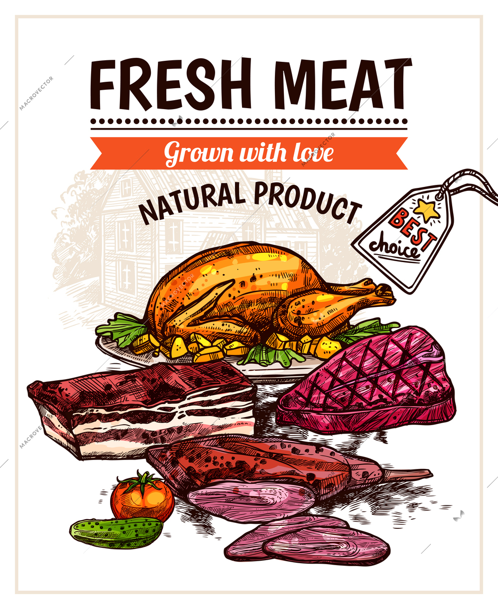 Hand drawn meet dishes poster with roasted chicken steak beef and vegetables vector illustration