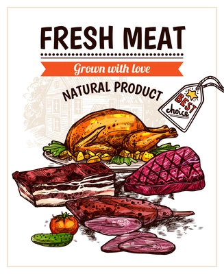 Hand drawn meet dishes poster with roasted chicken steak beef and vegetables vector illustration