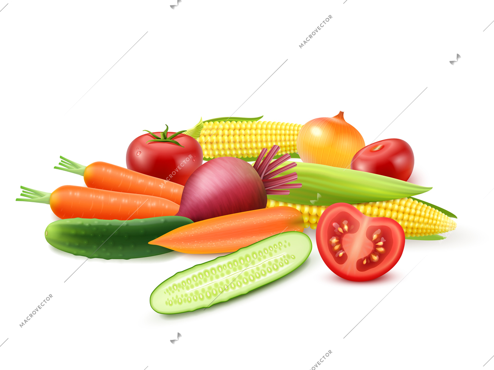 Colorful fresh vegetables template with cucumber tomato beet carrot onion and corn isolated vector illustration