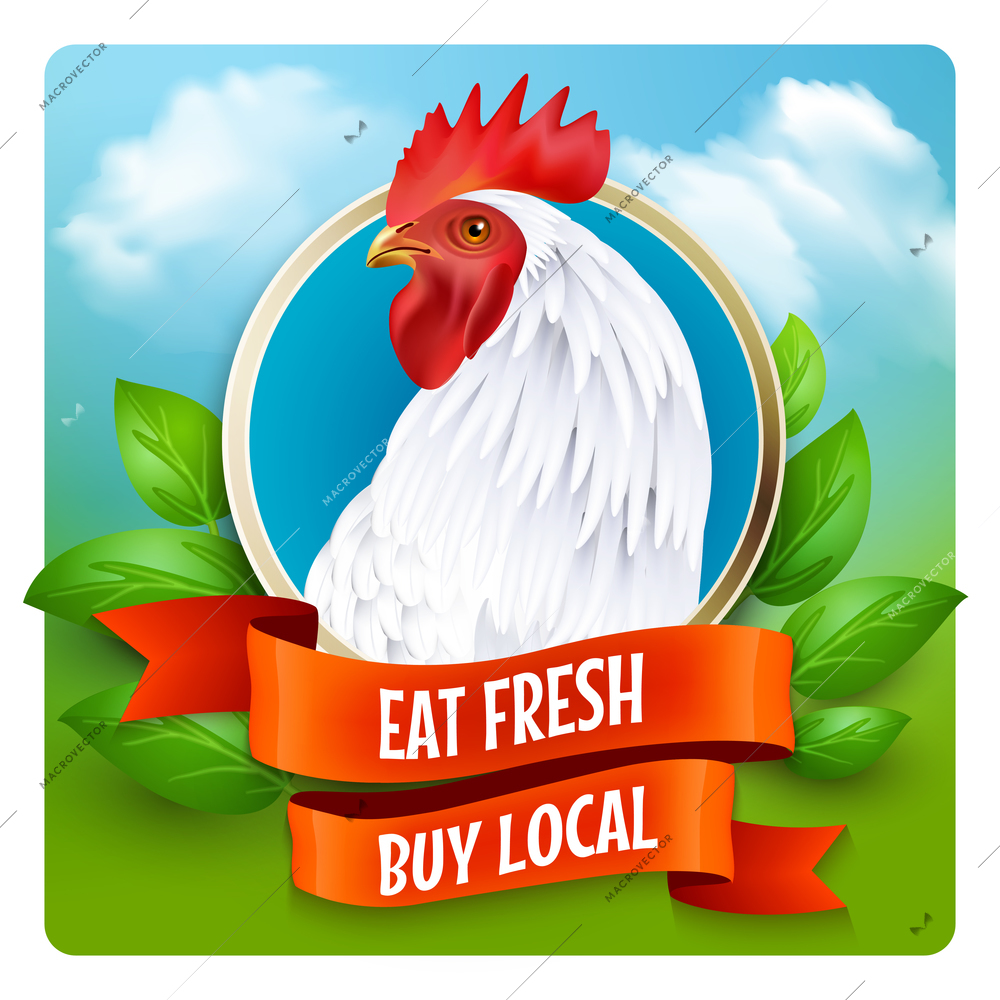 Local organic poultry farm advertisement poster with white country style rooster head and green farmland background vector illustration