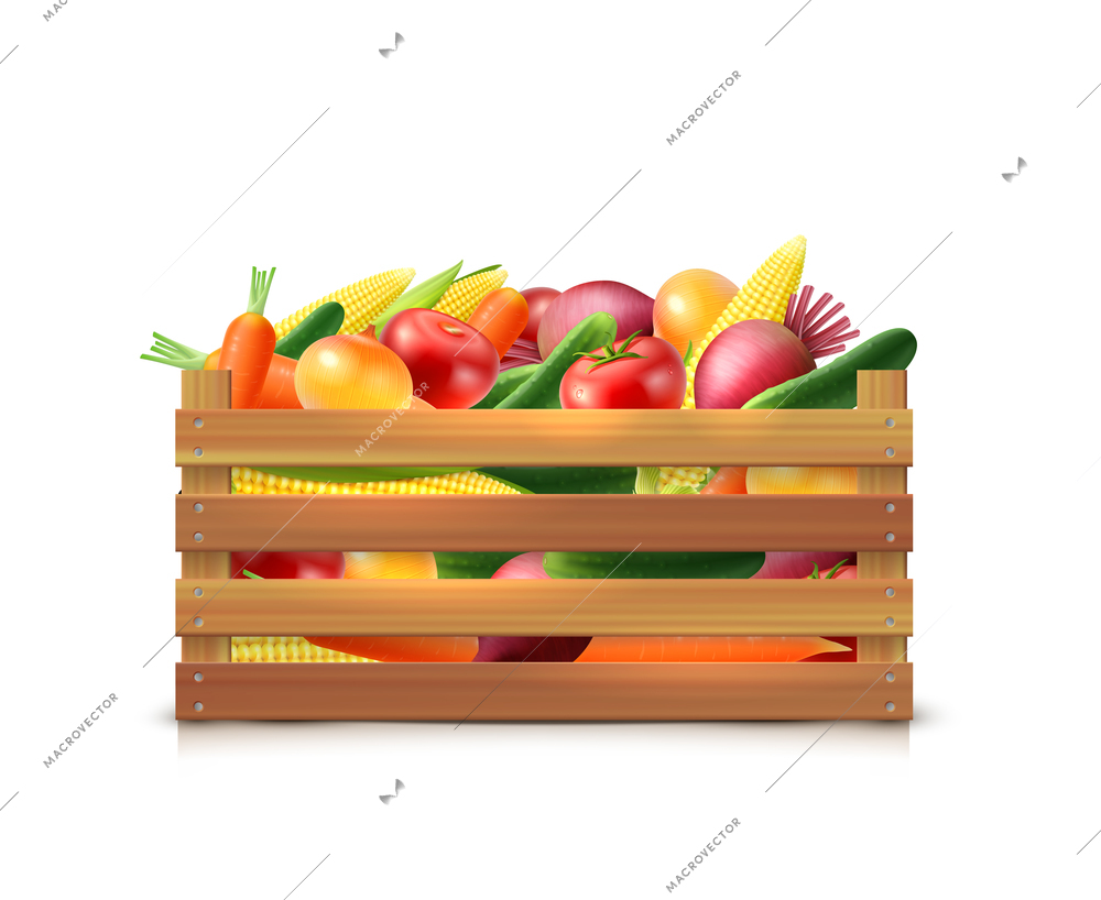 Vegetables harvest template with carrot onion cucumber corn tomato beet in wooden box isolated vector illustration