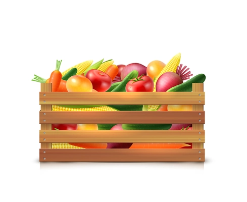 Vegetables harvest template with carrot onion cucumber corn tomato beet in wooden box isolated vector illustration