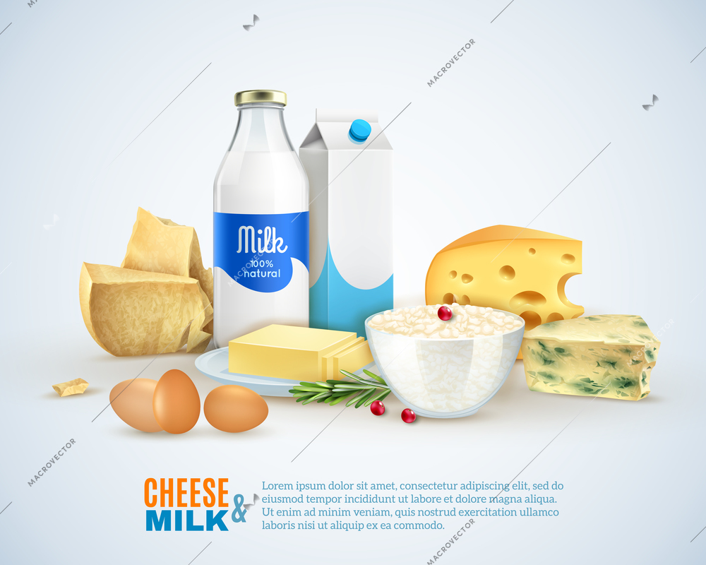 Milk products template with different sorts of cheese eggs carton and butter isolated vector illustration