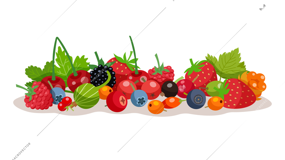 Composition from forest and garden berries with strawberry bilberry raspberry cloudberry gooseberry elements flat vector illustration