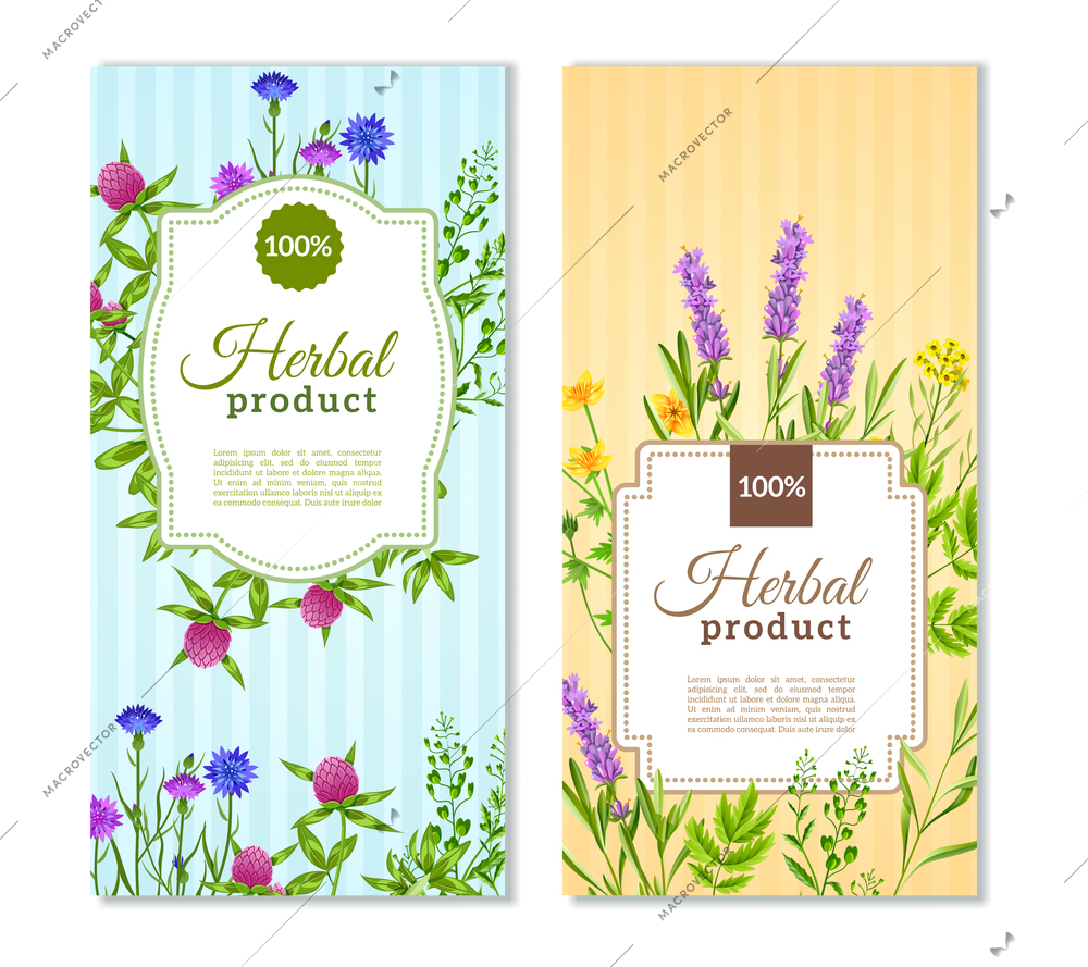 Herbal products vertical flat banners in tender pastel colors with herbs and wild flowers isolated vector illustration