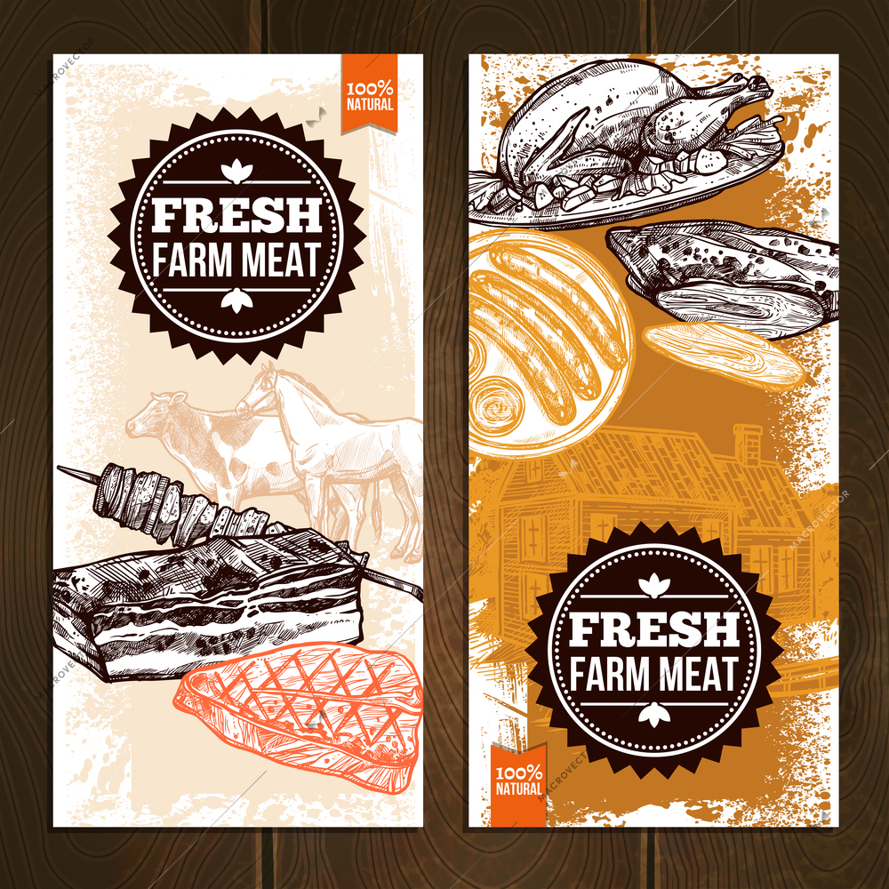 Hand drawn meat food vertical banners with different grilled and roasted dishes vector illustration