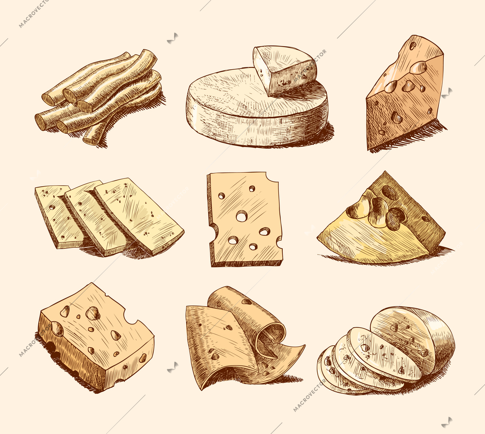 Cheddar parmesan and smoked cheese slices chunks and blocks assortment doodle food icons set vector illustration