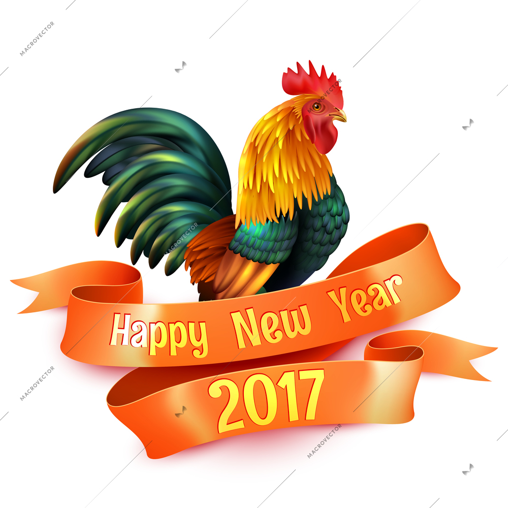 Beautiful country rooster 2017 year chinese calendar symbol colorful emblem season greetings decorations element isolated vector illustration