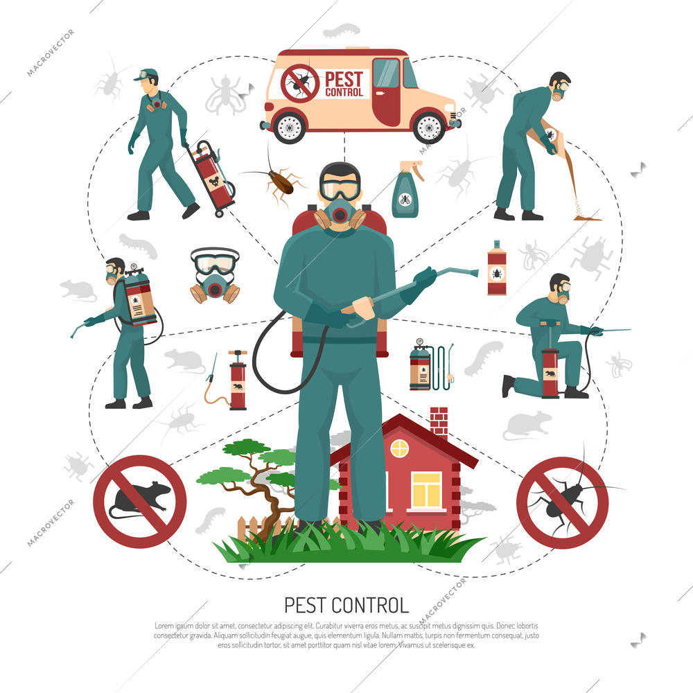 Professional pest control services experts handling all aspects of pest removal flat infographic advertisement poster vector illustration