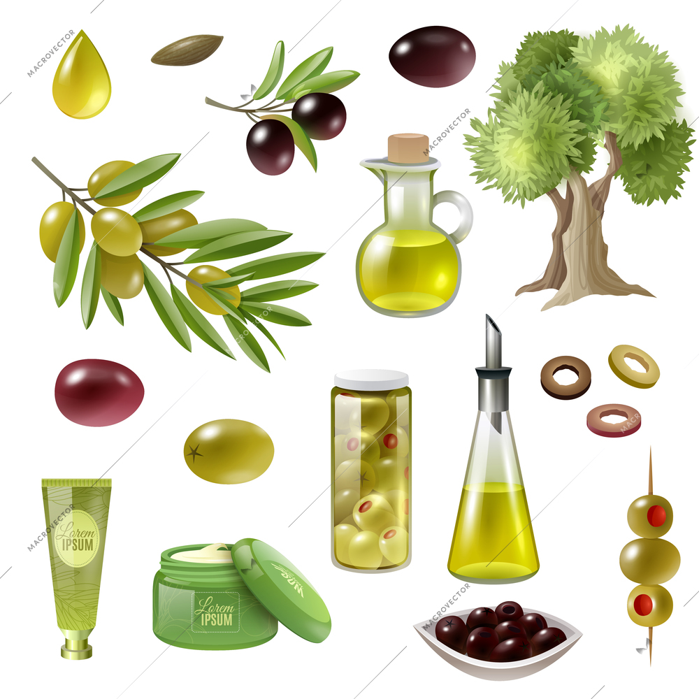 Olive cartoon set with olive tree and oil isolated vector illustration