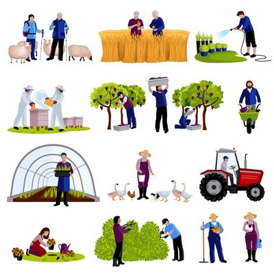 Farmers and gardeners work moments harvesting  fruits raising cattle and trimming plants flat icons set isolated vector illustration