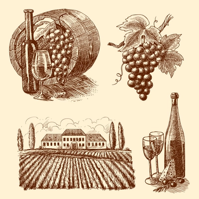 Wine vintage sketch decorative icons set of barrel grape branch winery isolated vector illustration