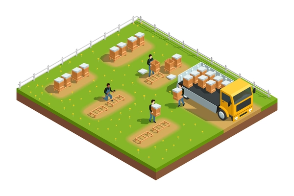 Isometric composition of scene with workers installing hives for beekeeping apiary on grass with flowers vector illustration