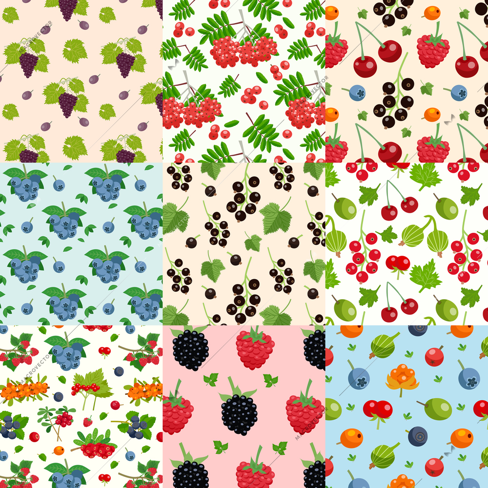 Set of nine seamless berries patterns with twigs of red and black currant raspberry blueberry dewberry flat vector illustration