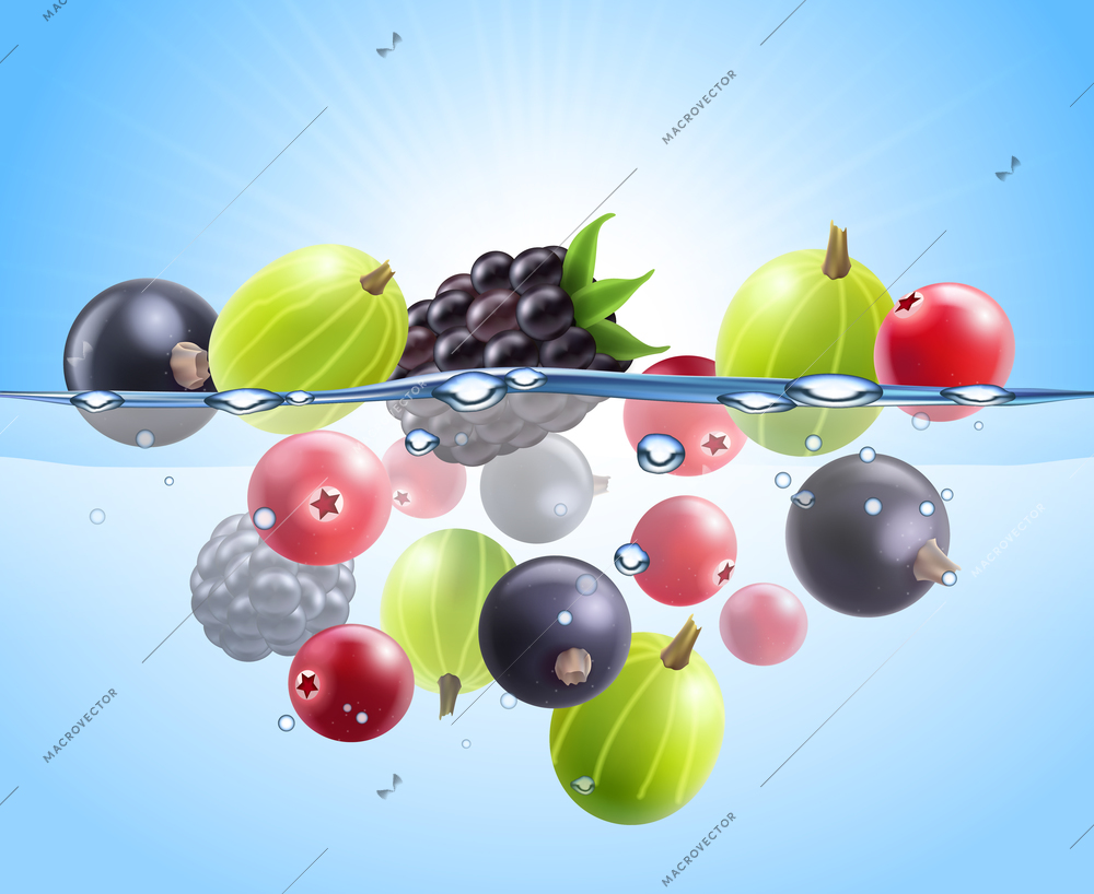 Realistic colorful berries background with black currant cranberry gooseberry blackberry dropped into water vector illustration