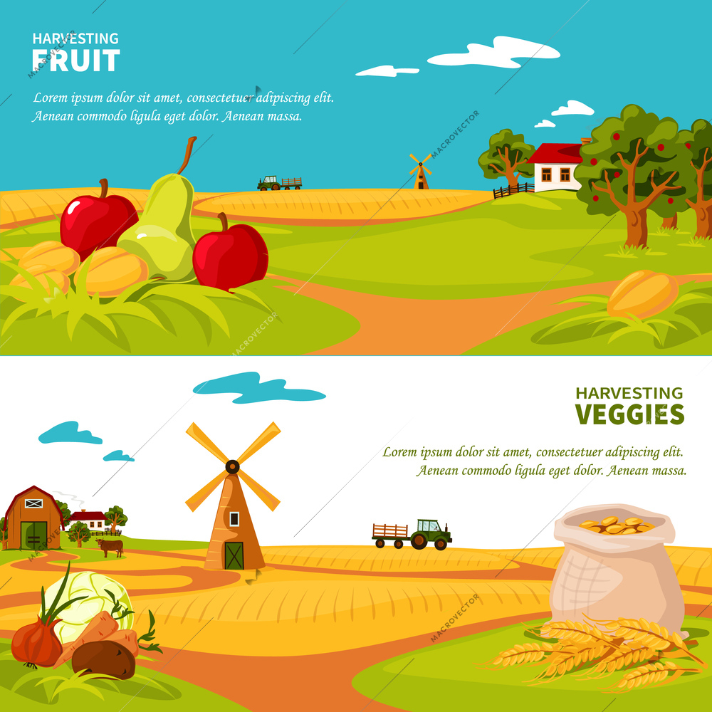 Flat design horizontal banners set with beautiful farm landscapes veggies and fruit harvest isolated vector illustration