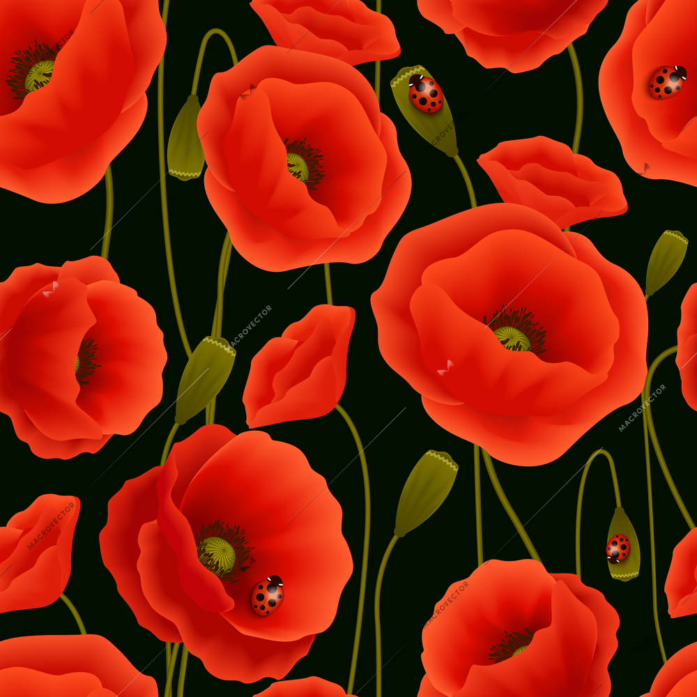 Romantic floral seamless pattern of poppy flowers and ladybirds vector illustration