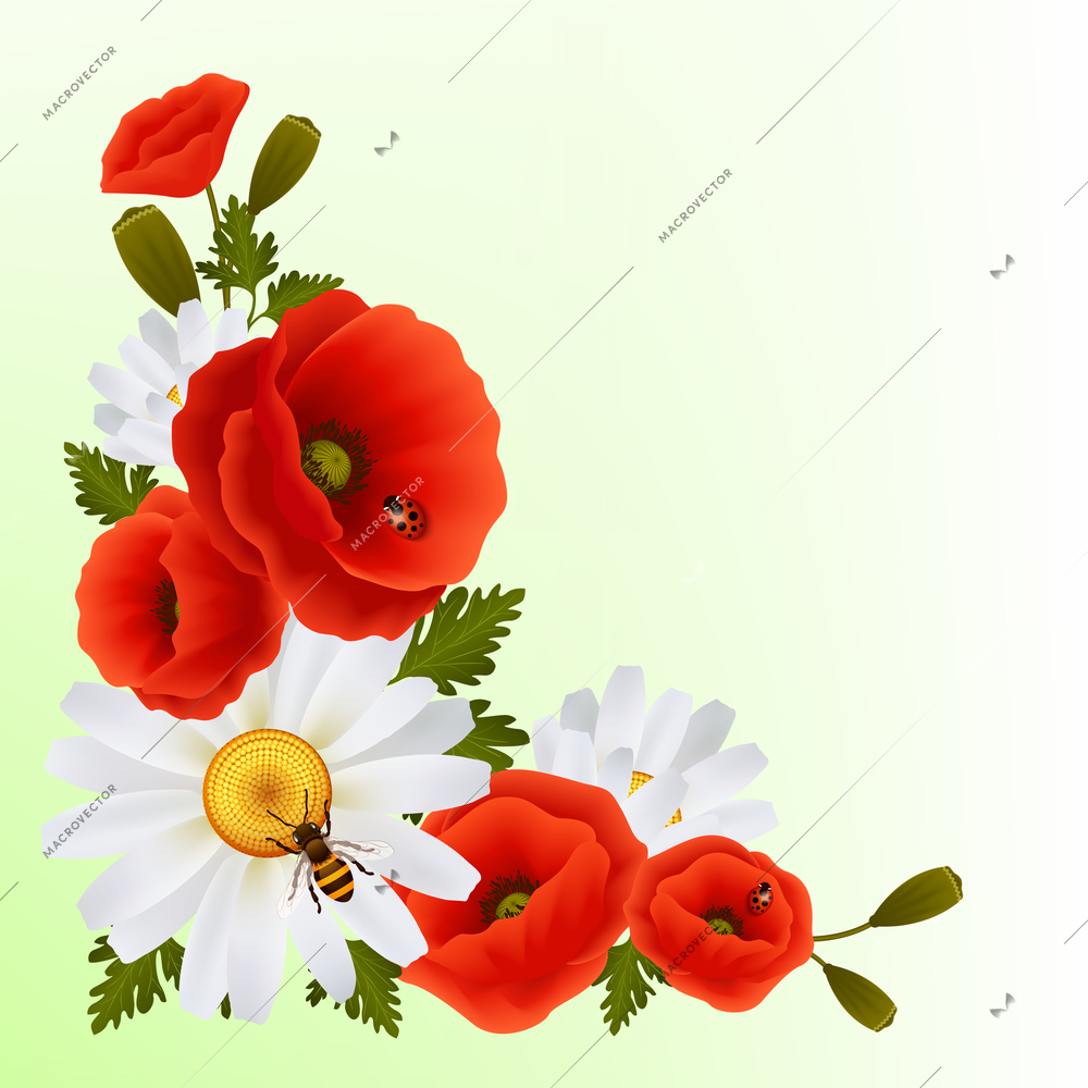 Vibrant floral poppy flowers and daisies background with lady birds and bee vector illustration