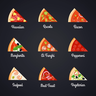 Make create pizza decorative icons set with isolated slices of different pizza selection and appropriate captions vector illustration