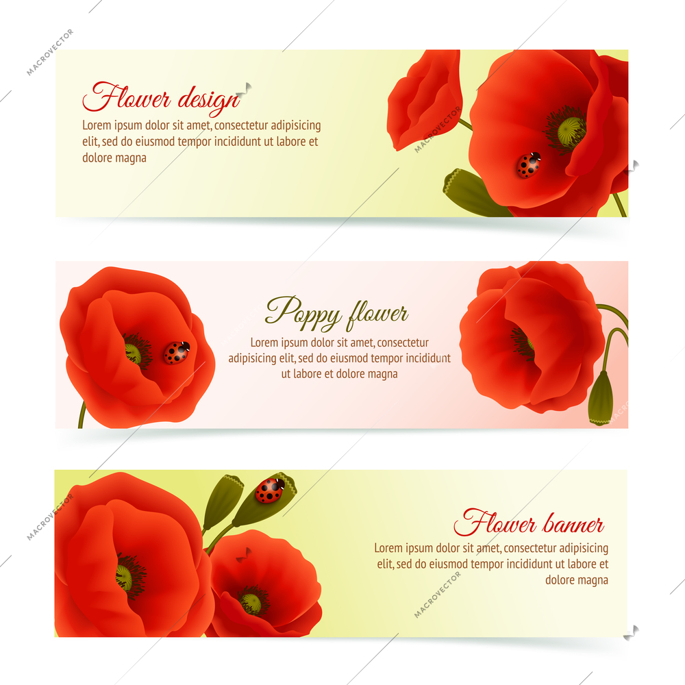 Vibrant floral horizontal banners of poppy flowers and blossoms with lady birds isolated vector illustration