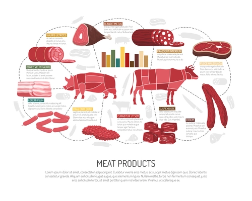 Meat market product variety infographic presentation  with pork lamb beef sausages ham bacon and delicatessen flat vector illustration