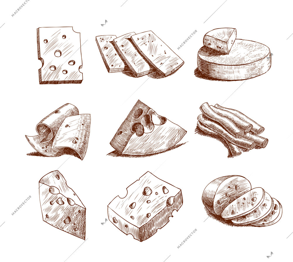Whole cheese blocks and slices assortment doodle food icons set vector illustration