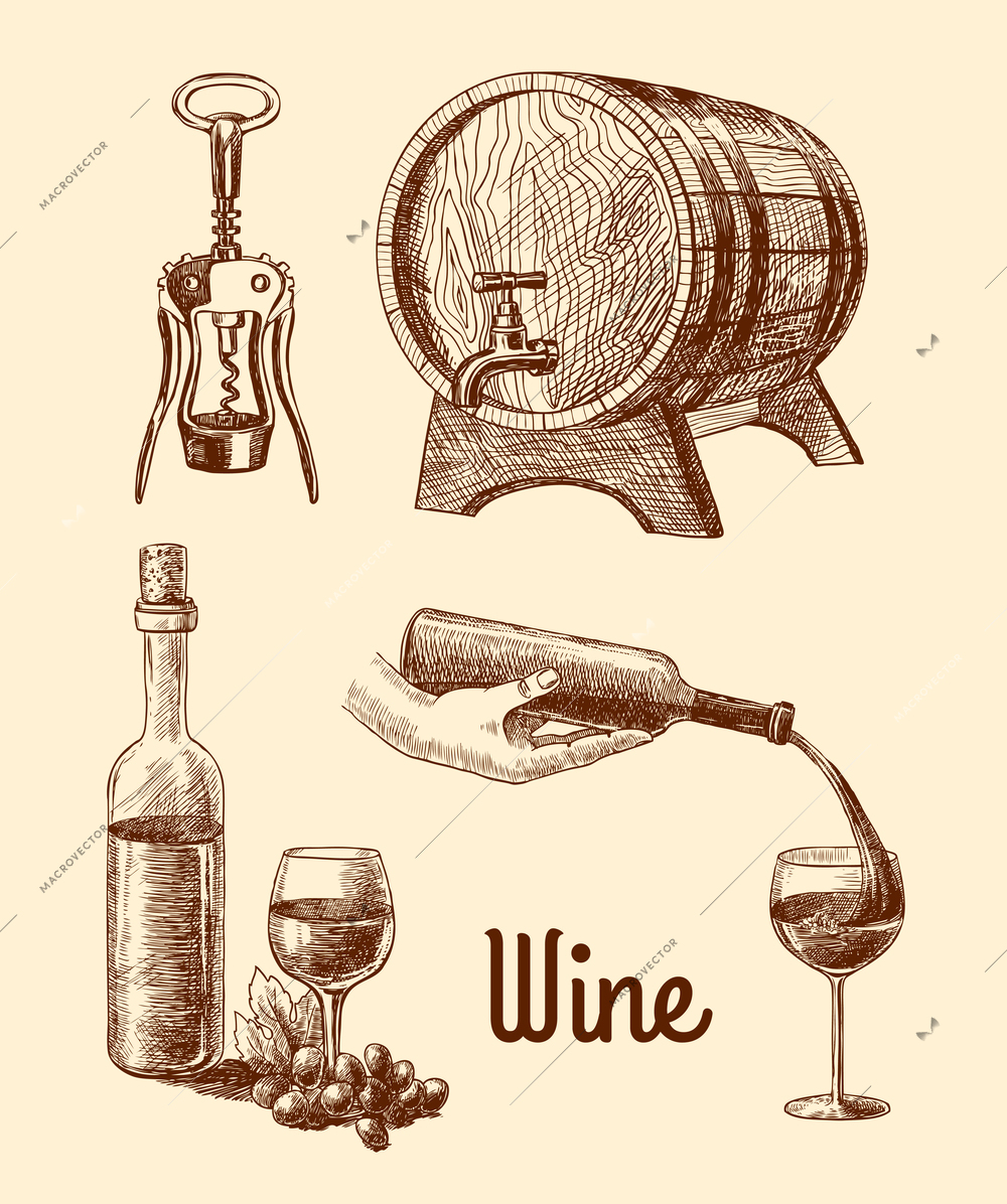 Wine vintage sketch decorative icons set of corkscrew barrel bottle isolated vector illustration