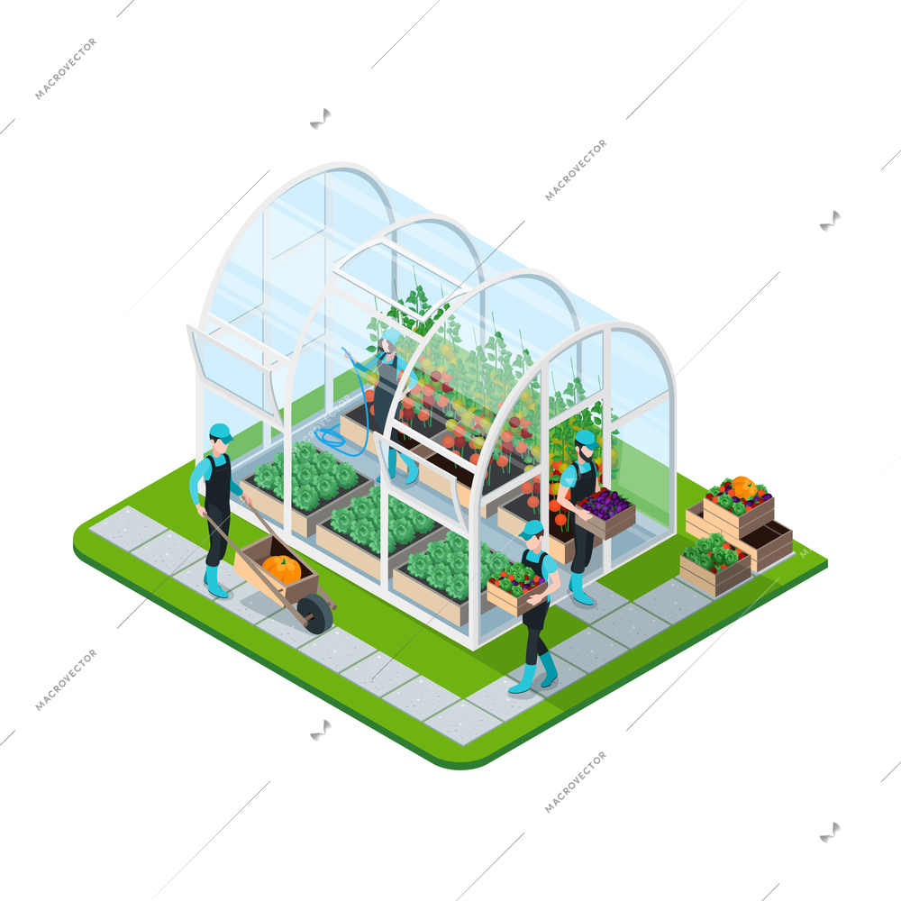 Glass greenhouse isometric template with working people irrigation and watering isolated vector illustration