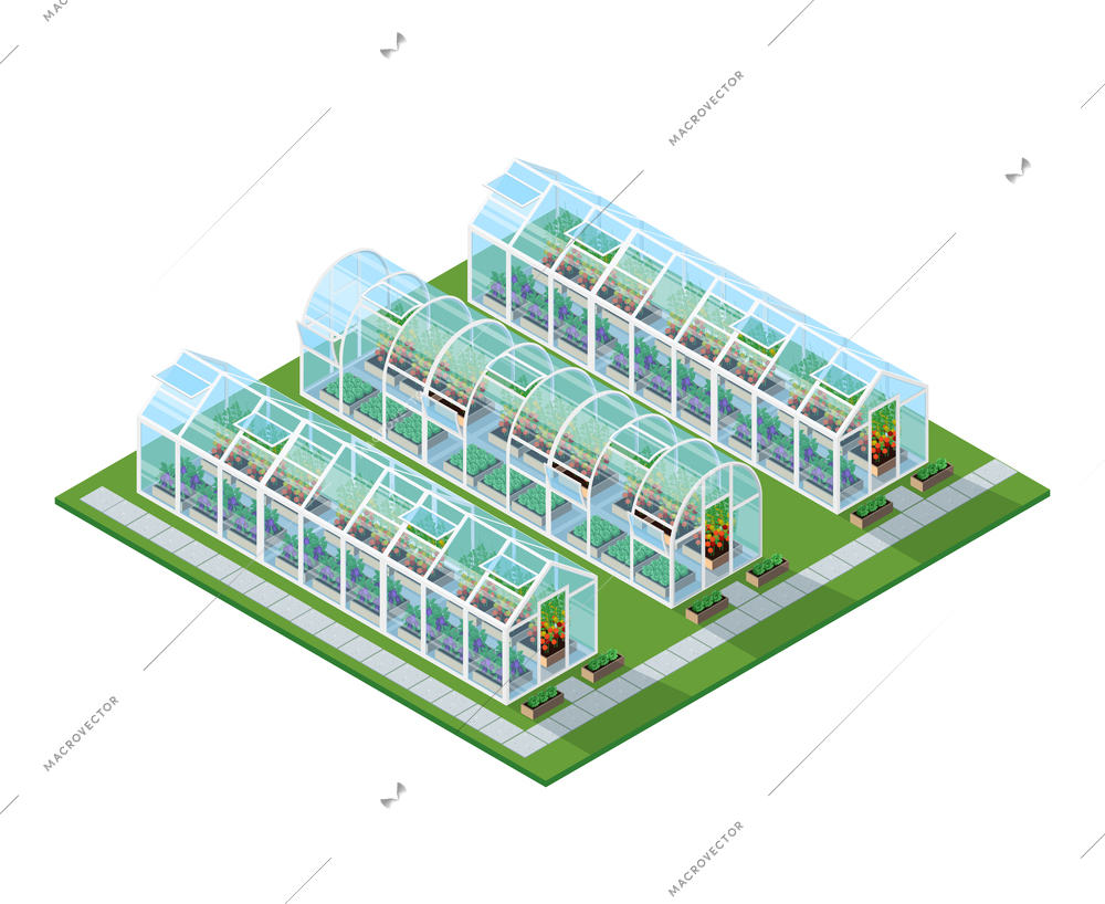 Greenhouses isometric location with eco natural healthy seeding vegetables and plants isolated vector illustration