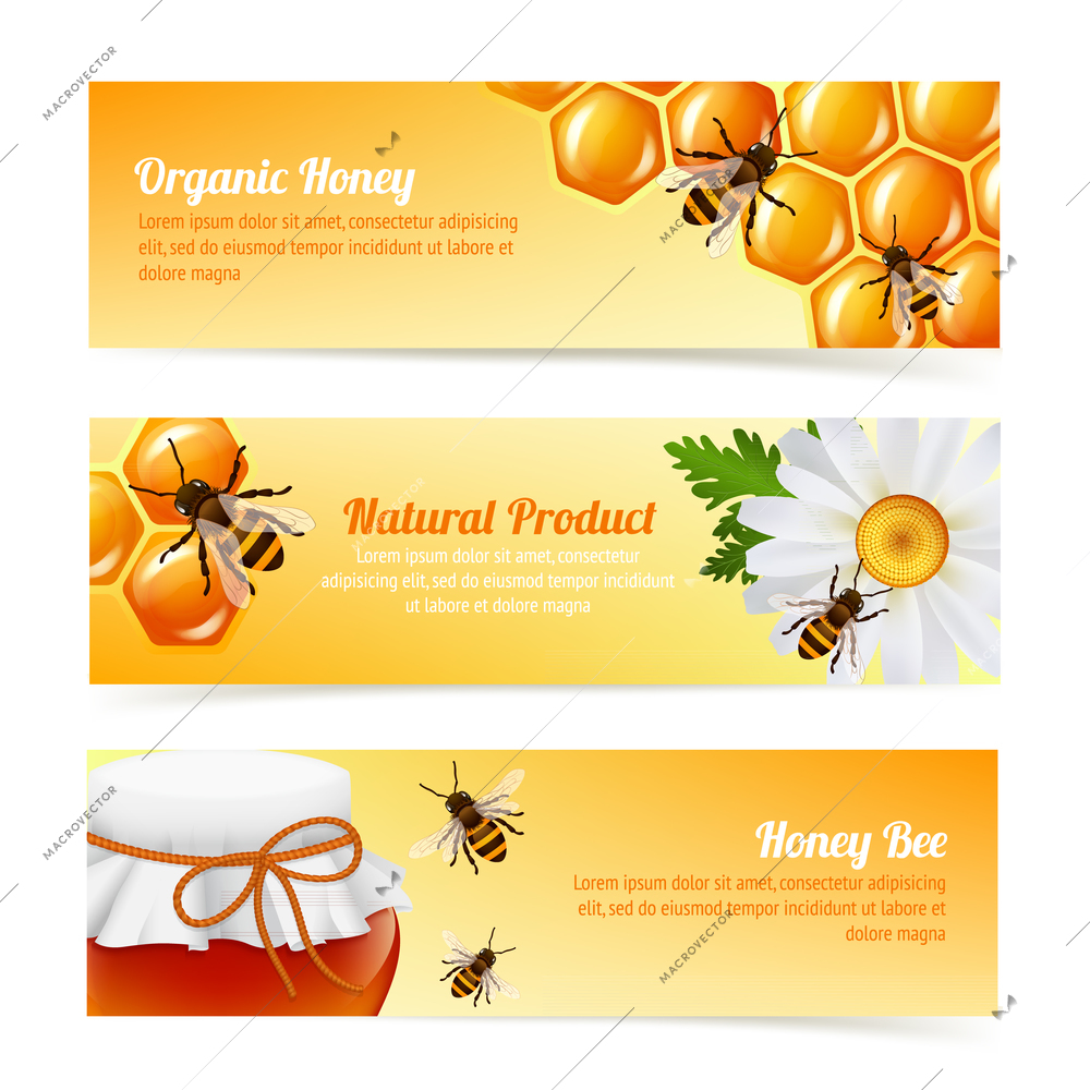 Honey bee organic natural product banners with daisy and honeycomb elements vector illustration.