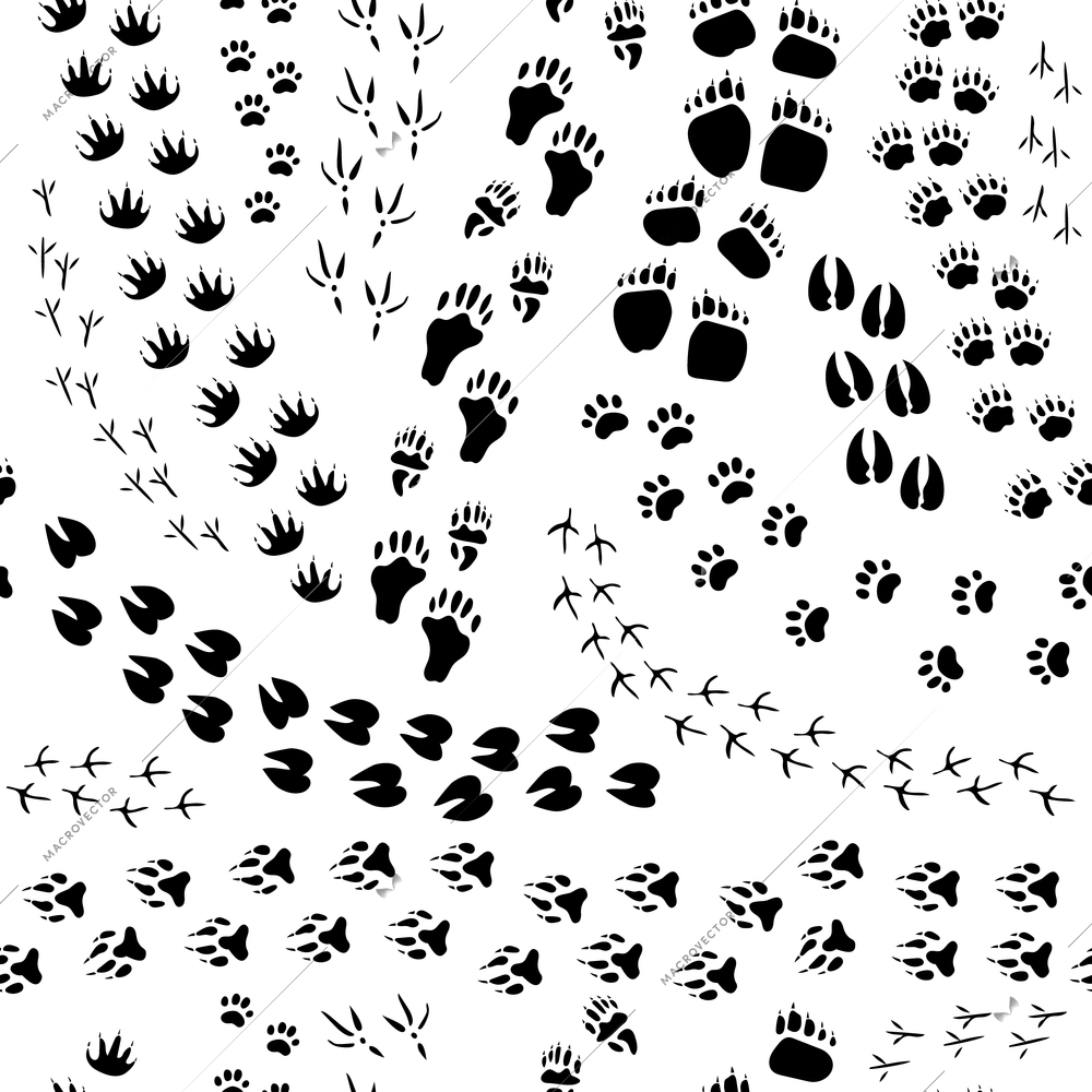 Flat design monochrome seamless pattern with various animals and birds tracks on white background vector illustration