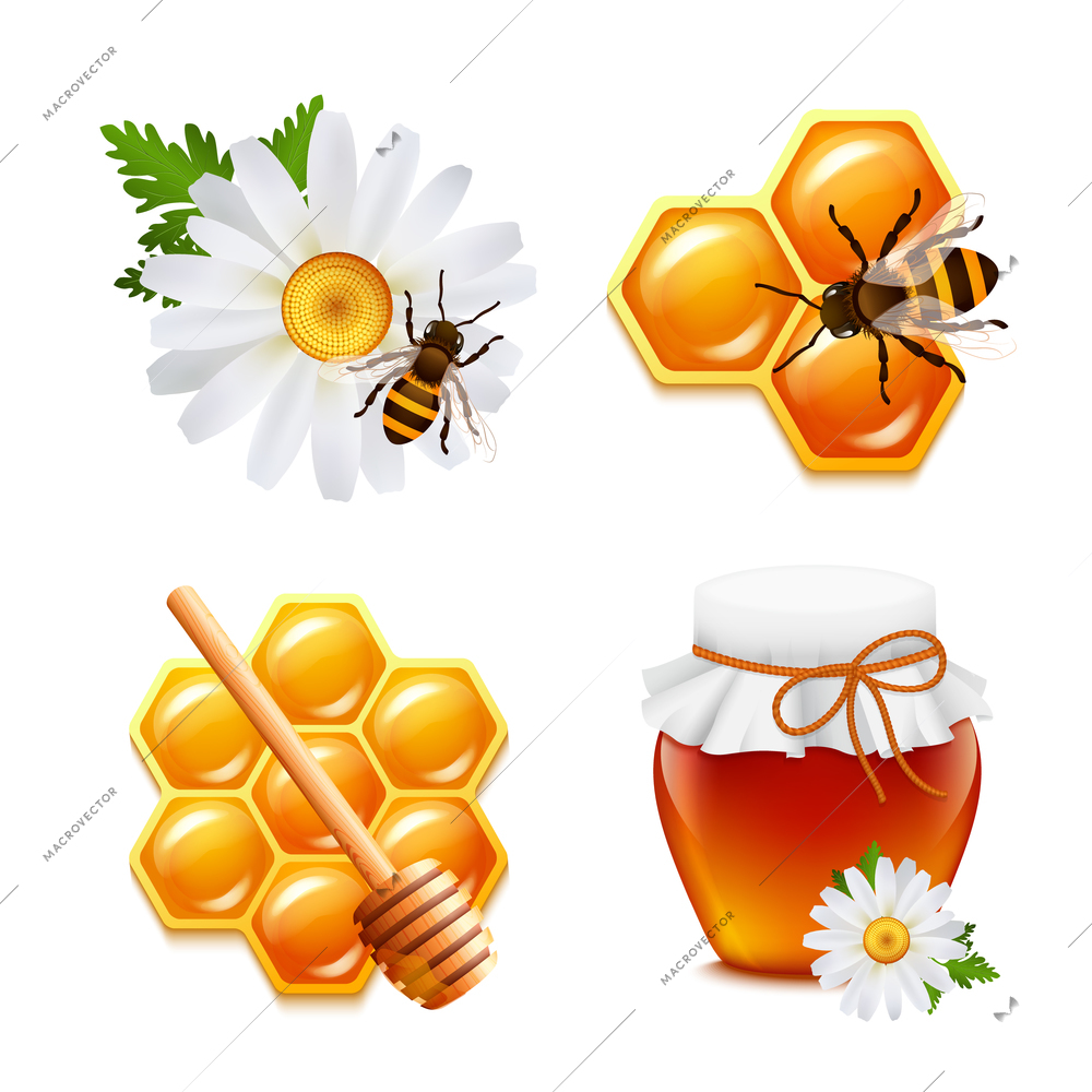 Honey food decorative icons set with daisy bumblebee honeycomb isolated vector illustration